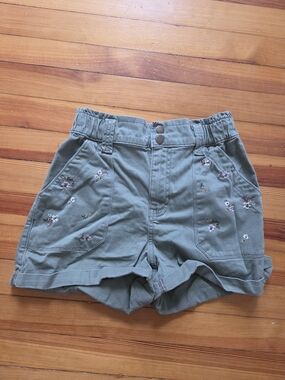 Arizona Jean Company Sage Green High-Waist Embroidered Shorts